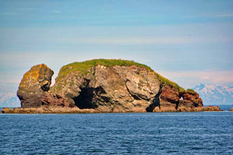elephant rock
